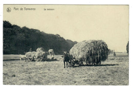 Tervuren  Tervueren Parc De Tervueren La Moisson - Attelage  METIER - Tervuren