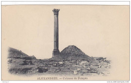 CPA  EGYPTE - ALEXANDRIE - Colonne De Pompée - Alexandrie