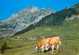 Switzerland Taveyannez Sur Gryon - Vaches - Gryon