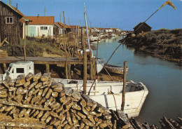 17-ILE D OLERON CHENAL D ORS-N°3935-C/0083 - Ile D'Oléron