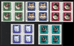● Ajman 1968 ֎ GATTI ֎ Chats ● Chat ● Cats ● Serie ** MNH X 4 ● Dentellati ● Lotto N. 2473 B ● - Adschman