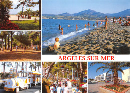 66-ARGELES SUR MER-N°3935-A/0295 - Argeles Sur Mer