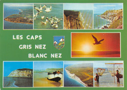 62-LES CAPS GRIS NEZ ET BLANC NEZ-N°3935-A/0247 - Andere & Zonder Classificatie