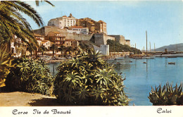 20-CALVI-N°3935-E/0389 - Calvi