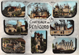 24-PERIGORD CHATEAUX-N°3935-D/0315 - Other & Unclassified