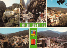 66-AMELIE LES BAINS-N°3935-D/0253 - Autres & Non Classés