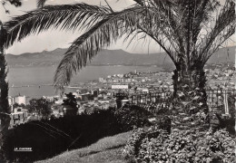 06-CANNES-N°3936-C/0305 - Cannes