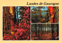 40-LANDES DE GASCOGNE-N°3936-B/0187 - Sonstige & Ohne Zuordnung