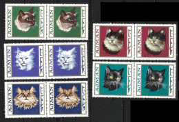 ● Ajman 1968 ֎ GATTI ֎ Chats ● Chat ● Cats ● Serie ** MNH X 2 ● Dentellati ● Lotto N. 2471 B ● - Adschman