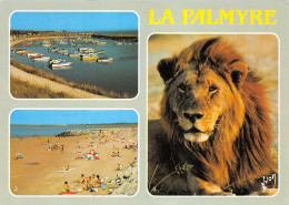 17-LA PALMYRE-N°3936-B/0115 - Altri & Non Classificati