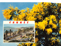 06-CANNES-N°3937-A/0081 - Cannes