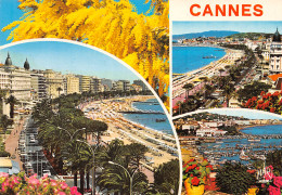 06-CANNES-N°3937-A/0077 - Cannes