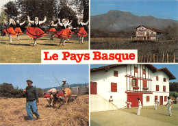 64-LE PAYS BASQUE-N°3937-D/0075 - Autres & Non Classés