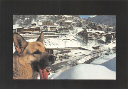 74-MORZINE-N°3937-C/0381 - Morzine