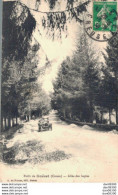 RARE  23 FORET DE GUERET ALLEE DES SAPINS AUTOMOBILE SUR LA ROUTE - Guéret