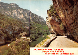 48-GORGES DU TARN-N°3938-A/0319 - Gorges Du Tarn