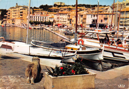 13-CASSIS-N°3938-C/0397 - Cassis