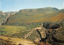 04GORGES DU VERDON-N°3938-C/0305 - Autres & Non Classés