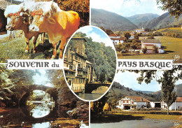 64-PAYS BASQUE-N°3939-A/0083 - Andere & Zonder Classificatie