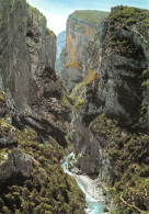 04LES GORGES DU VERDON LE PONT SUBLIME-N°3939-A/0039 - Autres & Non Classés