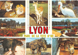 69-LYON-N°3939-B/0107 - Sonstige & Ohne Zuordnung