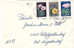 1974-Germania DDR 3 Valori Cactus Su Lettera - Lettres & Documents
