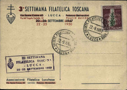 1950-cartolina Settimana Filatelica Toscana-Lucca Affrancata L.5 Tabacco Annullo - Demonstrationen