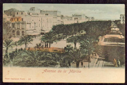1904-Tunisia "Tunisi,Avenue De La Marine" - Tunisie