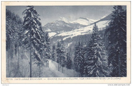 CPA  74 - LA CLUSAZ EN HIVER - Chaîne Du Jallouvre Et Forêts - La Clusaz