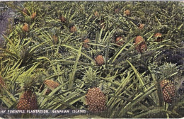 1940circa-Hawaii Pineapple Plantation - Hawaï