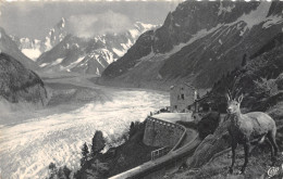 74-CHAMONIX MONT BLANC-N°4239-C/0373 - Chamonix-Mont-Blanc