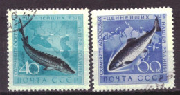 Soviet Union USSR 2244 & 2245 Used Fish Animals Nature (1959) - Used Stamps