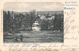 Luxembourg Mondorf Vue Dans Le Parc CPA + Timbre Grand Duché Cachet 1898 - Luxemburg - Stad