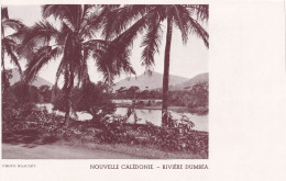 Photo  Nouvelle Caledonie Rivière Dumbéa  Photo Mascart - Nouvelle Calédonie