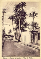 1937-Libia Cartolina Derna Gruppo Di Palme-Via 17 Ottobre Affrancata 20c.Sibilla - Libye