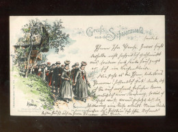 "GRUSS AUS DEM SCHWARZWALD" 1901, Color-AK (Litho), Sehr Gute Erhaltung (R2156) - Autres & Non Classés