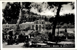 CPA Jerusalem Und Der Garten Gethsemane - Israël