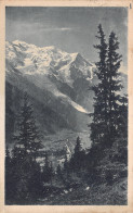 74-CHAMONIX-N°4239-G/0393 - Chamonix-Mont-Blanc