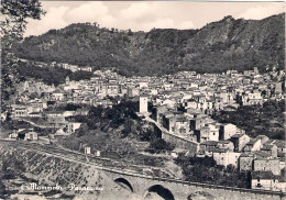 1954-Turistica L.10 Isolato Su Cartolina Mammola Reggio Calabria Panorama - Reggio Calabria