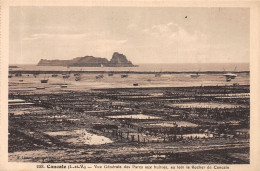 35-CANCALE-N°4240-D/0033 - Cancale