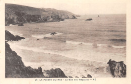 29-LA POINTE DU RAZ-N°4240-C/0009 - La Pointe Du Raz