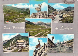 1960-cartolina Di Livigno Sondrio Affrancata L.15 Giornata Del Francobollo Isola - Sondrio