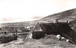 50-OEUVRE DES PUPILLES DE L ECOLE PUBLIQUE DE LA MANCHE-N°4240-E/0117 - Autres & Non Classés