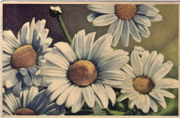 1944-cartolina Illustrata "margherite" Affrancata Coppia 20c.Imperiale Annullo V - Flowers