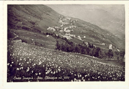 1950circa-cartolina Illustrata Nuova "Costa Imagna Bergamo Staz.clim." - Bergamo