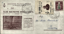 1950-lettera Illustrata Con Erinnofilo Dell'associazione Filatelica Lucchese Aff - 1946-60: Marcophilia