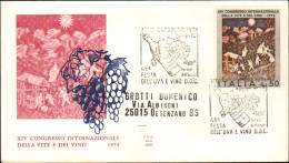 1974-lettera Illustrata Affrancata Con Bollo Figurato 45 Festa Dell'uva E Vino D - 1971-80: Marcophilie