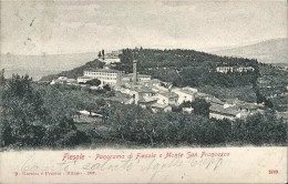 1909-"Fiesole-panorama E Monte San Francesco"diretta In Svizzera Affrancata 10c. - Firenze (Florence)