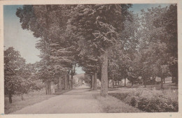 LE BUISSON PLACE DE L'EGLISE ROUTE DE CADOUIN 1948 TBE - Other & Unclassified