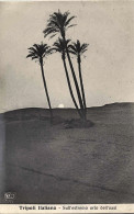1911/12-"Guerra Italo-Turca,Tripoli Italiana Sull'estremo Orlo Dell'oasi " - Libië